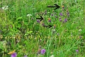 11 07 15_5888_edited-1